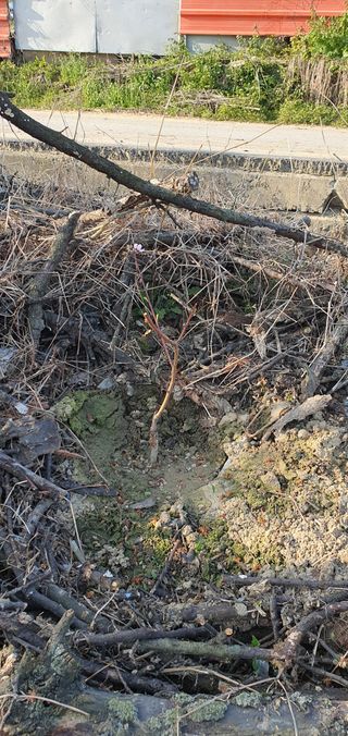 최창순님의 자유주제 · 자유게시판 작성글 사진