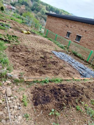 기쁨님의 자유주제 · 자유게시판 작성글 사진