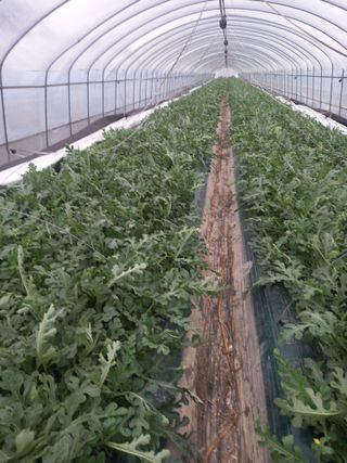 박영석님의 자유주제 · 자유게시판 작성글 사진