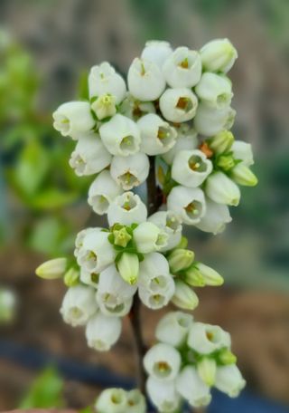 앙꼬르 블루베리님의 자유주제 · 사진전 작성글 사진