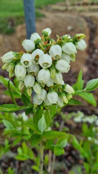 앙꼬르 블루베리님의 자유주제 · 사진전 작성글 사진