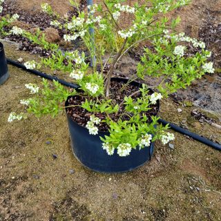 앙꼬르 블루베리님의 자유주제 · 사진전 작성글 사진