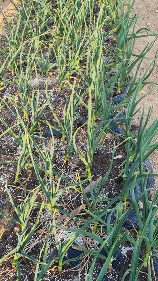 최언봉님의 자유주제 · 자유게시판 작성글 사진