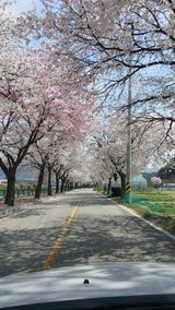 팜모닝 자유주제·사진전 게시글 이미지