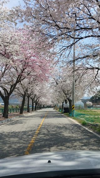 파머스팜X유성천마님의 자유주제 · 사진전 작성글 사진