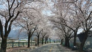 파머스팜X유성천마님의 자유주제 · 사진전 작성글 사진
