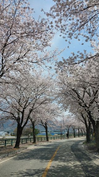 파머스팜X유성천마님의 자유주제 · 사진전 작성글 사진