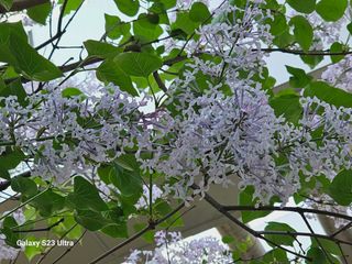 공주유구 구계박만호님의 모임 반장님 칭찬해요 · 참여글 작성글 사진