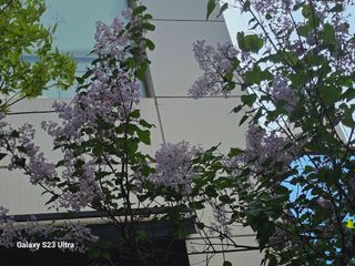 공주유구 구계박만호님의 모임 반장님 칭찬해요 · 참여글 작성글 사진