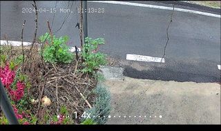 공주유구 구계박만호님의 모임 반장님 칭찬해요 · 참여글 작성글 사진