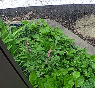 공주유구 구계박만호님의 모임 반장님 칭찬해요 · 참여글 작성글 사진