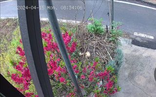 공주유구 구계박만호님의 모임 반장님 칭찬해요 · 참여글 작성글 사진