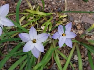 치자19496님의 자유주제 · 자유게시판 작성글 사진