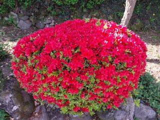 치자19496님의 자유주제 · 자유게시판 작성글 사진