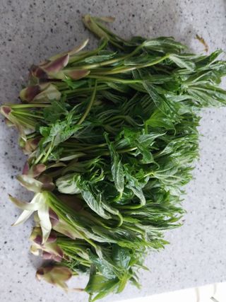 치자19496님의 자유주제 · 자유게시판 작성글 사진