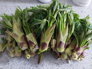 치자19496님의 자유주제 · 자유게시판 작성글 사진