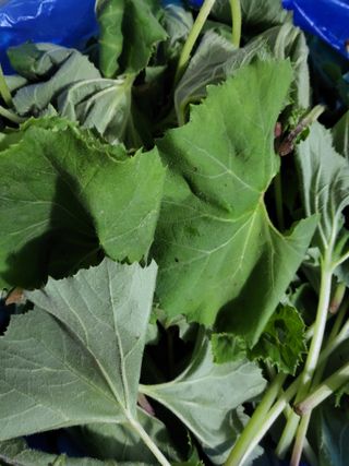 문보라님의 작성글 사진