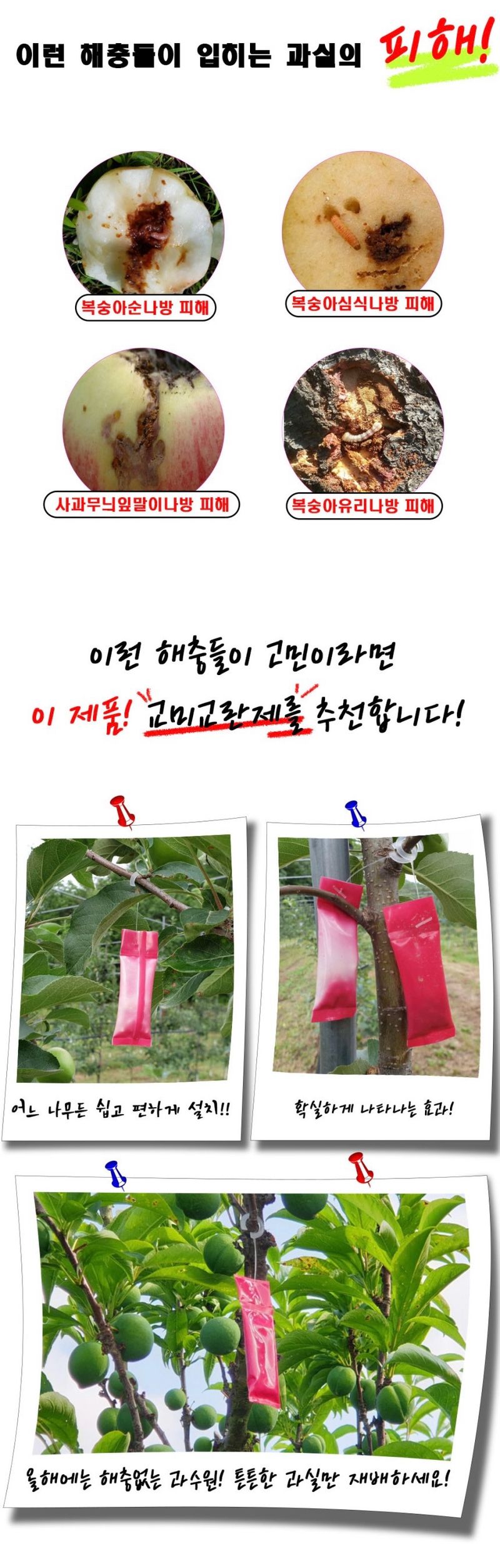 자재스토어님의 장터 판매 상품 [교미교란제 2종 3종,4종 60개입 복숭아 배 사과 자두 순나방 해충 방제 순심] 첨부 사진