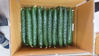 김인선님의 작성글 사진