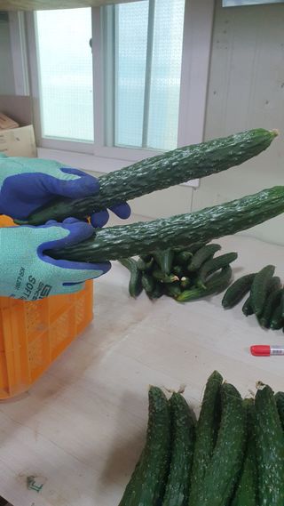 김인선님의 작성글 사진