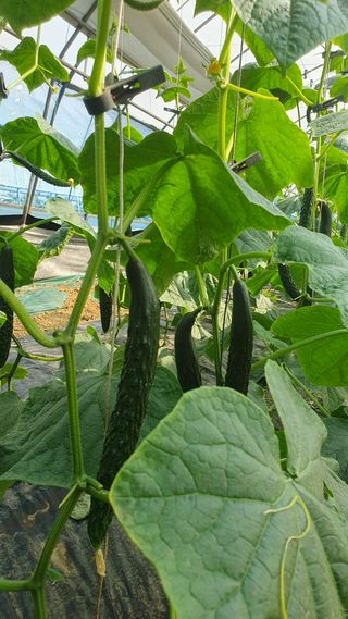 김인선님의 작성글 사진