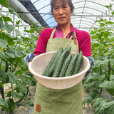 팜모닝 · 게시글 이미지