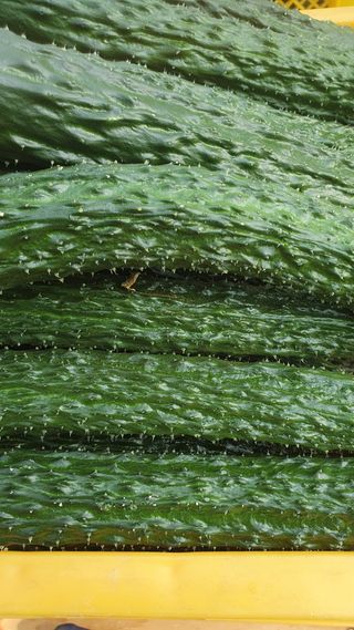 김인선님의 작성글 사진