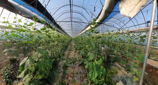 김인선님의 작성글 사진