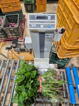 김동수님의 고구마 · 자유게시판 작성글 사진