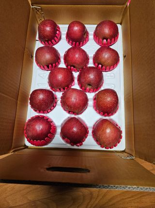 스마일님의 작성글 사진