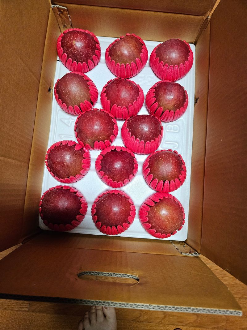 스마일님의 장터 판매 상품 [평창사과] 첨부 사진