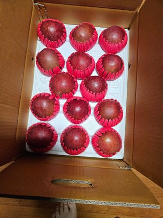 스마일님의 작성글 사진