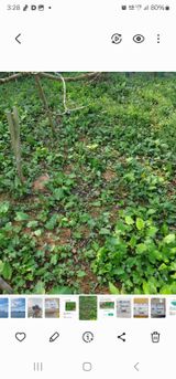 팜모닝 자유주제·사진전 게시글 이미지