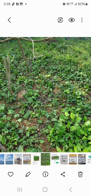 김*춘님의 자유주제 · 사진전 작성글 사진