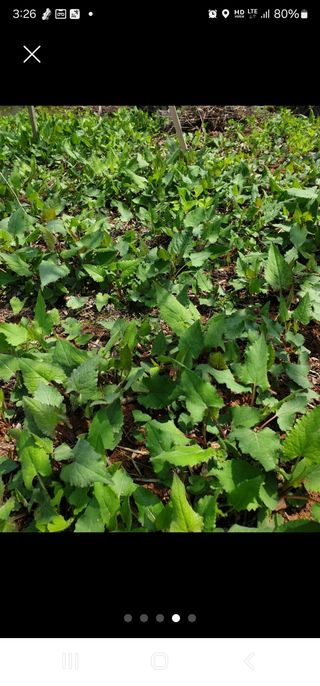 김*춘님의 자유주제 · 사진전 작성글 사진