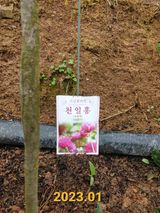 팜모닝 자유주제·자유게시판 게시글 이미지