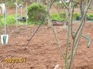 김순필수방님의 자유주제 · 자유게시판 작성글 사진