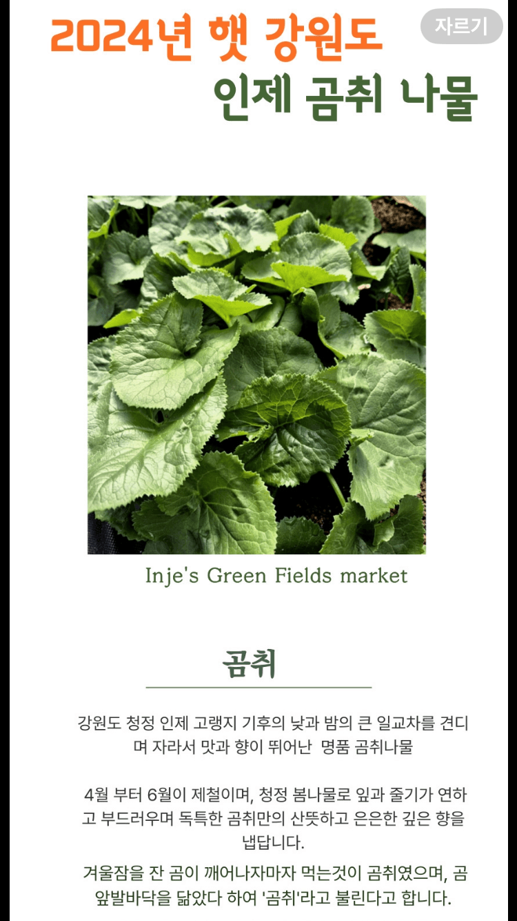 장터 상품 [[[무료배송]]강원도 인제 곰취 나물 1kg] 썸네일