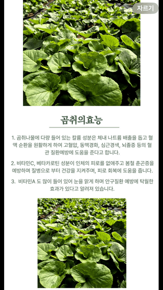 양헌국님의 작성글 사진