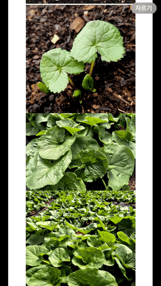 양헌국님의 작성글 사진