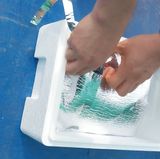 팜모닝 자유주제·자유게시판 게시글 이미지