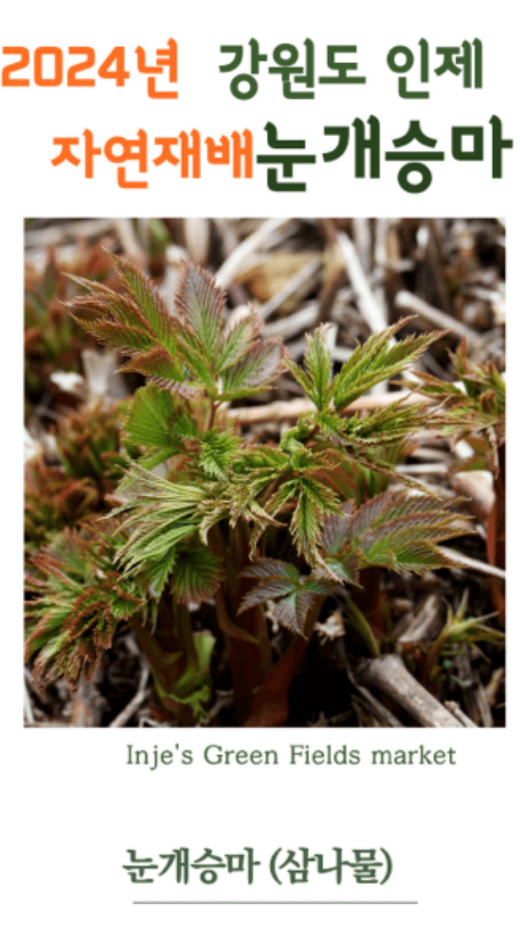 장터 상품 [[무료배송]강원도 인제 자연재배 눈개승마(삼나물)1kg] 썸네일