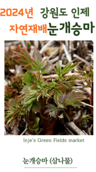 양헌국님의 작성글 사진