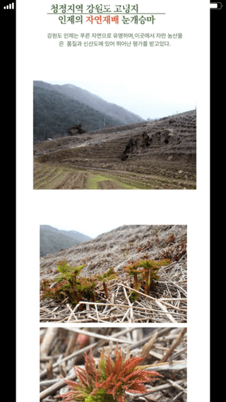 양헌국님의 작성글 사진