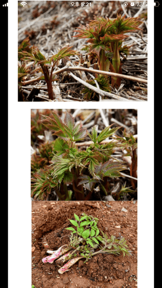 양헌국님의 작성글 사진