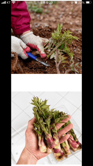 양헌국님의 작성글 사진