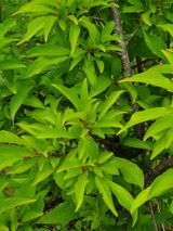 팜모닝 자유주제·자유게시판 게시글 이미지