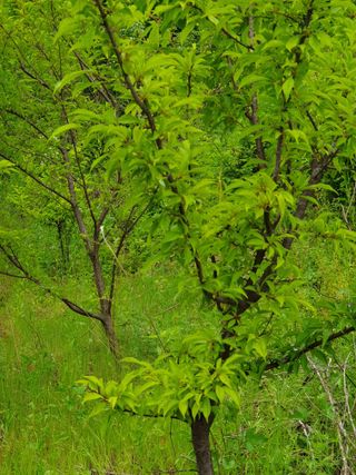 초보일꾼님의 자유주제 · 자유게시판 작성글 사진
