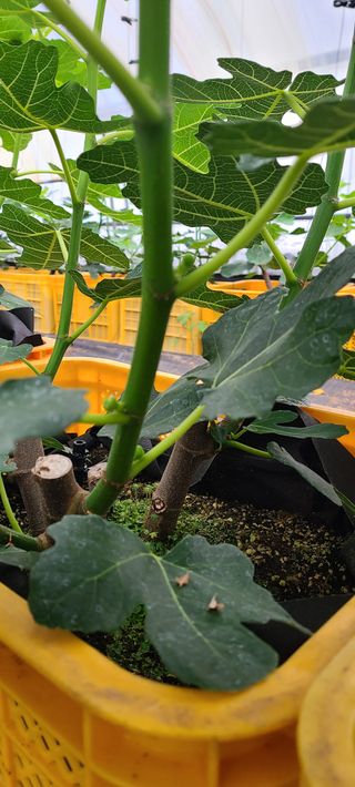 정오농장님의 자유주제 · 자유게시판 작성글 사진