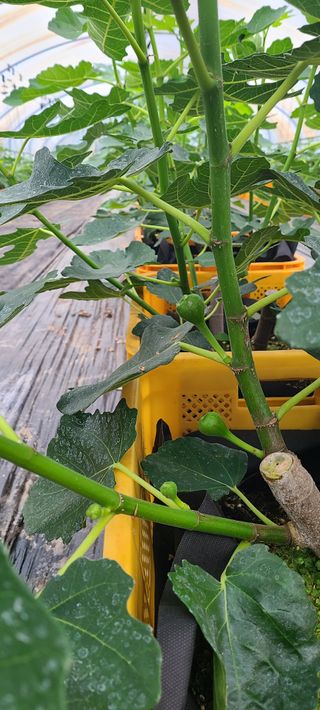 정오농장님의 자유주제 · 자유게시판 작성글 사진